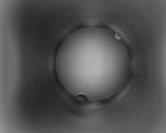 X0000100760497200807031153