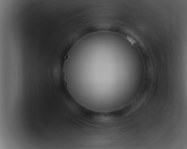 X0000100760498200807031153