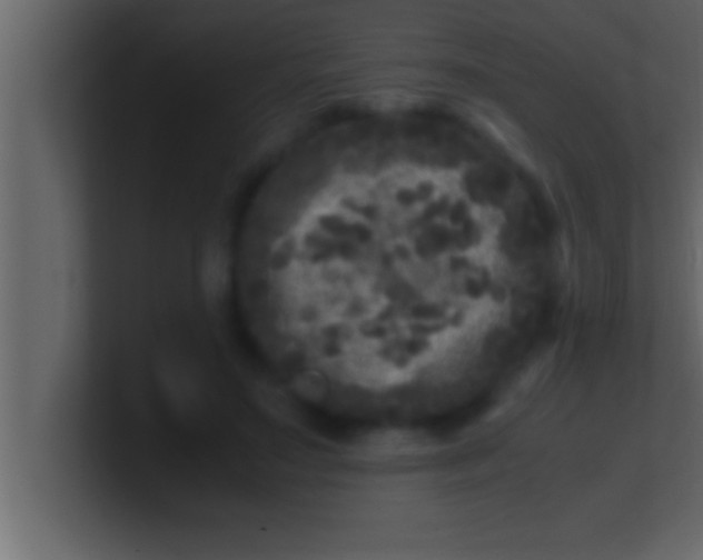 X0000100760499200807031153