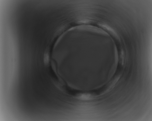 X0000100760500200807031153