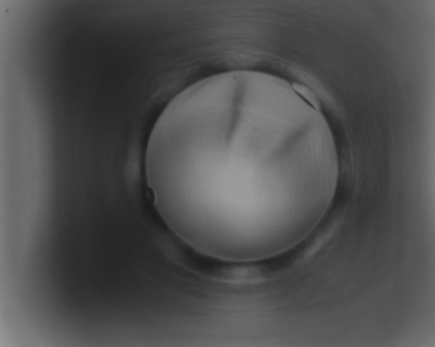 X0000100760501200807031153