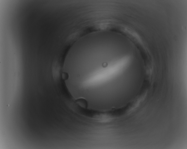 X0000100760503200807031153