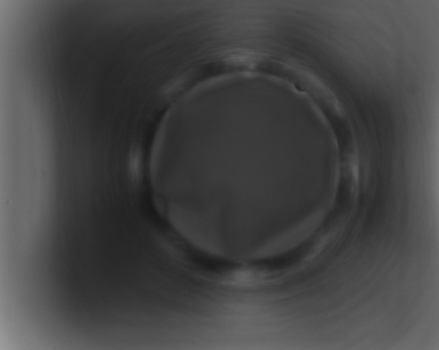 X0000100760504200807031152