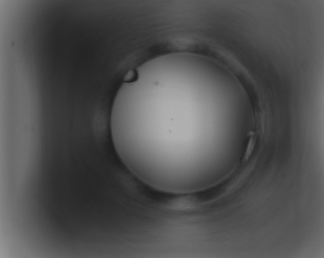 X0000100760505200807031152