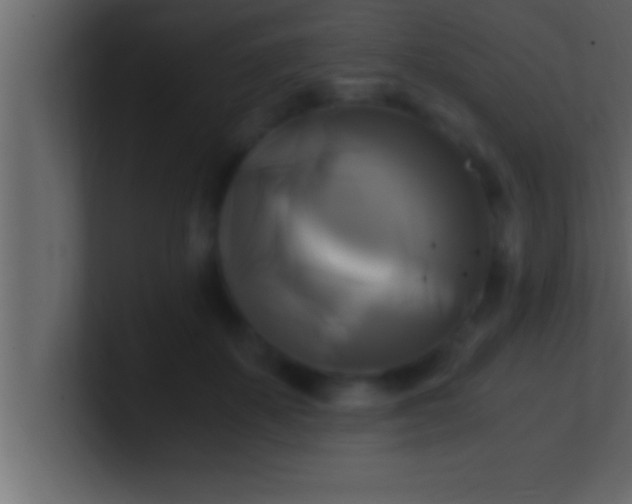 X0000100760507200807031152