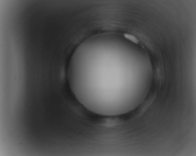 X0000100760508200807031152