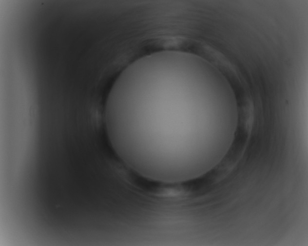 X0000100760510200807031152