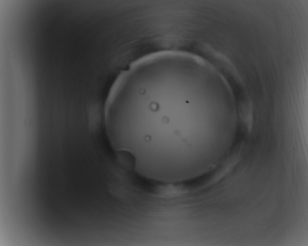 X0000100760511200807031152