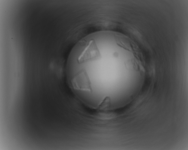 X0000100760515200807031152