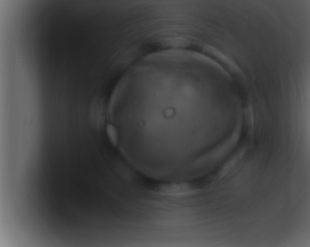 X0000100760517200807031152