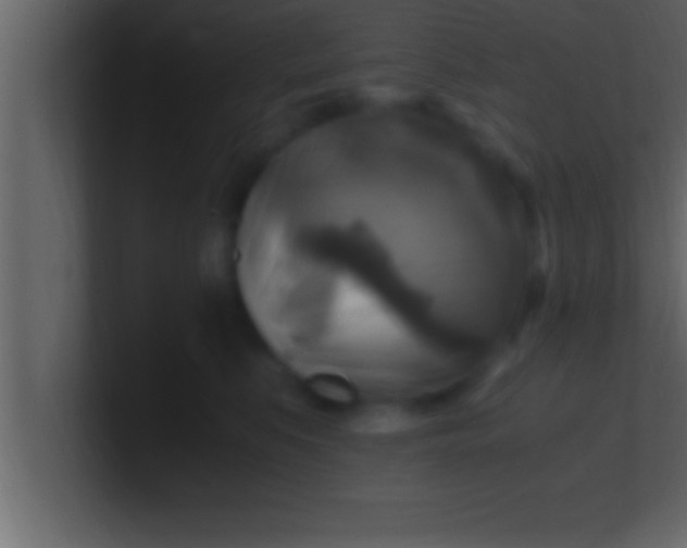 X0000100760519200807031152