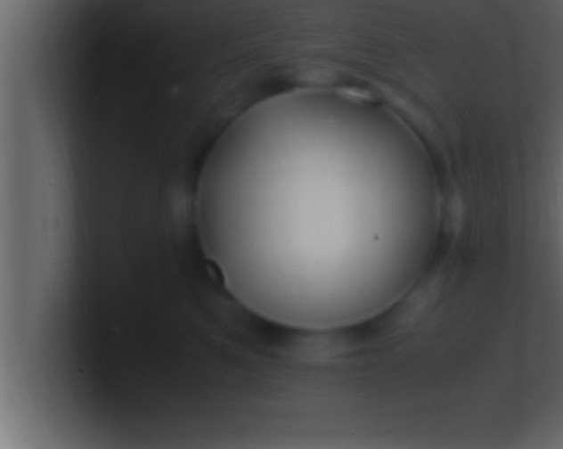 X0000100760521200807031152