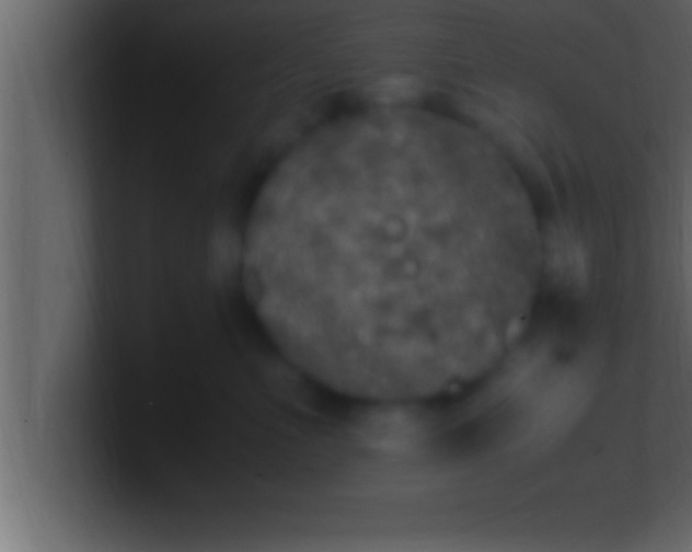 X0000100760523200807031152