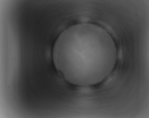 X0000100760524200807031152