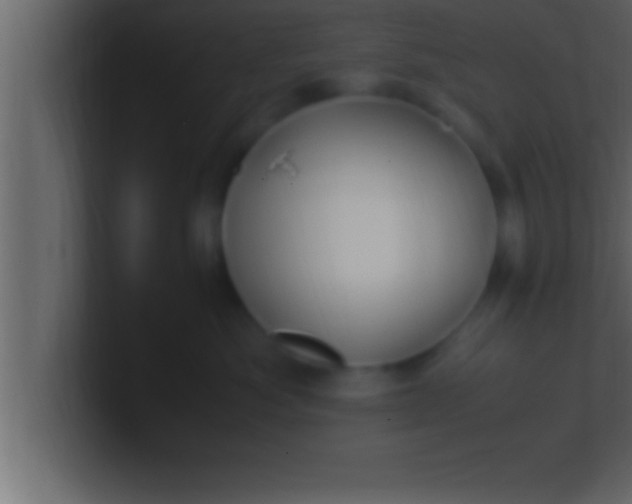 X0000100760525200807031152