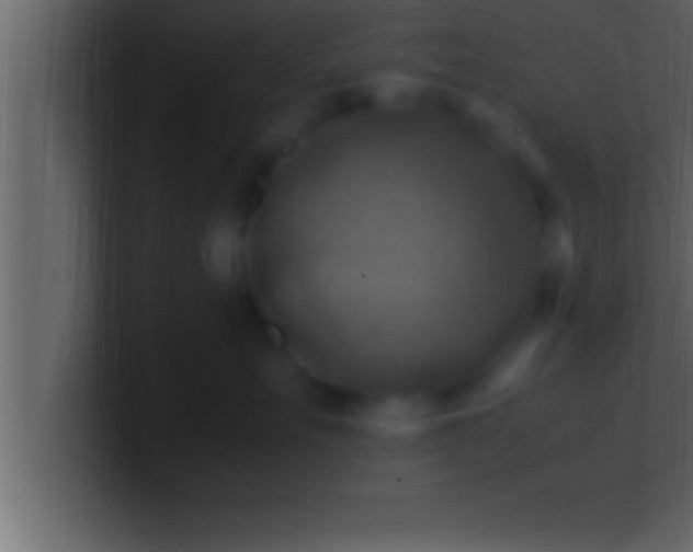 X0000100760527200807031152