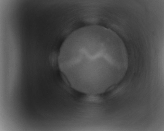 X0000100760528200807031152