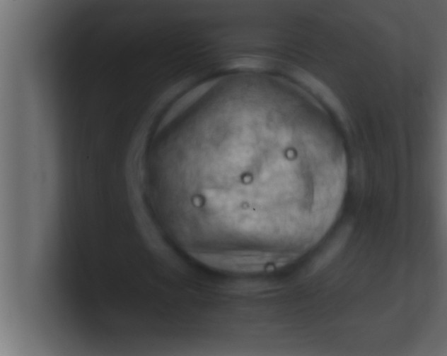 X0000100760529200807031152