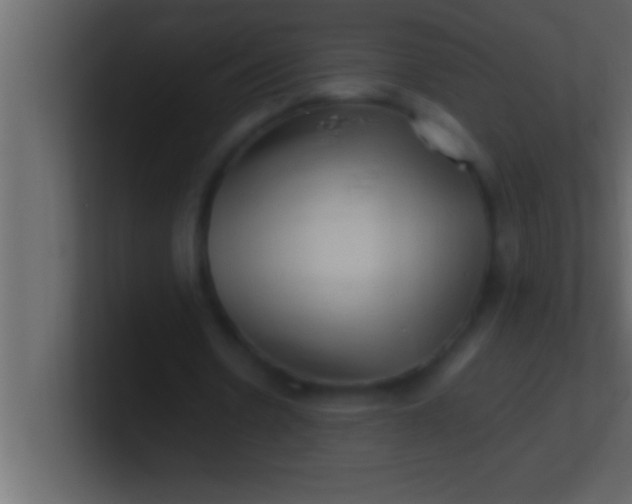 X0000100760530200807031152