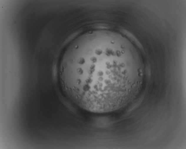 X0000100760533200807031152