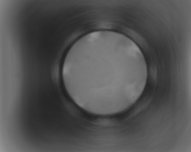 X0000100760534200807031152