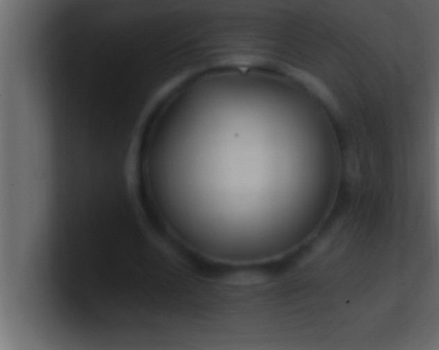 X0000100760536200807031152