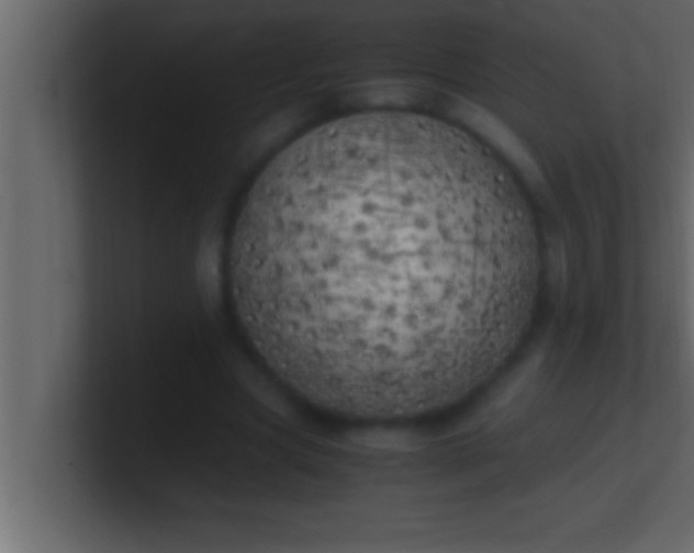 X0000100760537200807031152