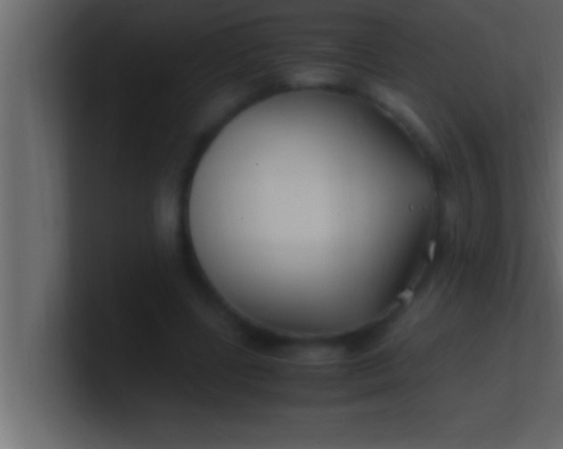 X0000100760539200807031152