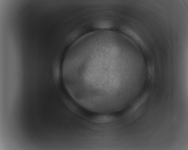 X0000100760541200807031152