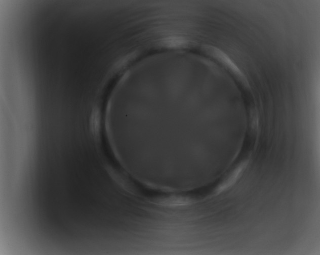 X0000100760542200807031152