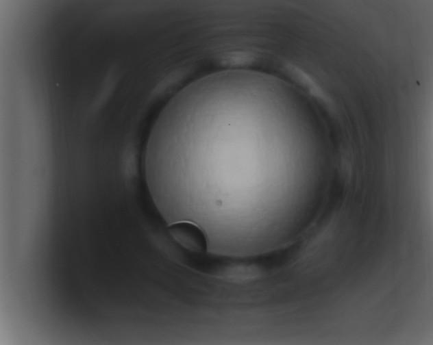 X0000100760543200807031152