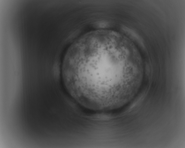 X0000100760545200807031152