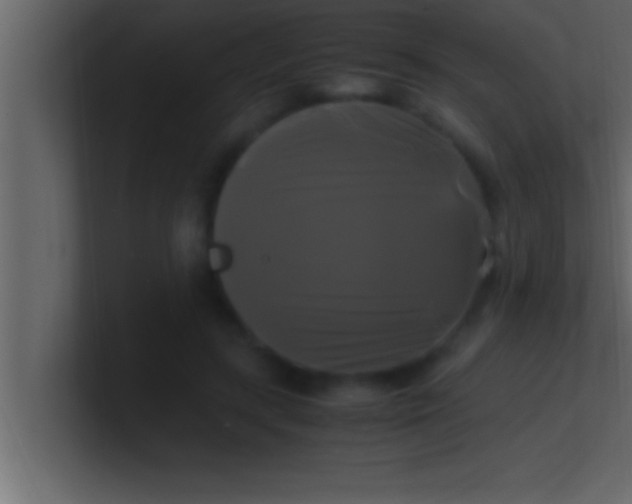 X0000100760547200807031152