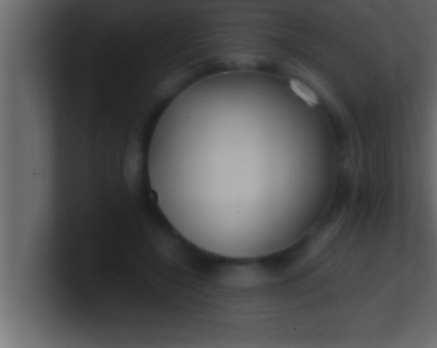 X0000100760548200807031152