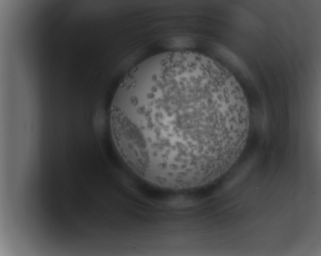 X0000100760549200807031152