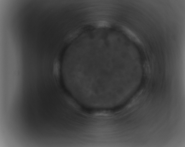 X0000100760550200807031152