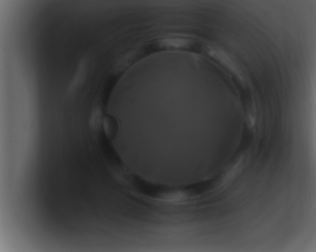 X0000100760551200807031152