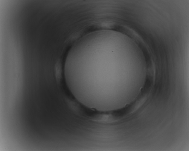 X0000100760552200807031152