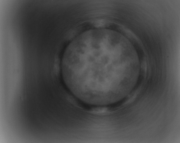 X0000100760554200807031152