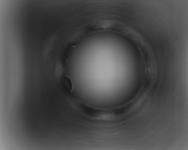 X0000100760555200807031152