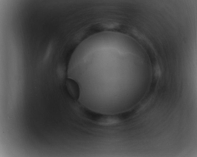 X0000100760559200807031152