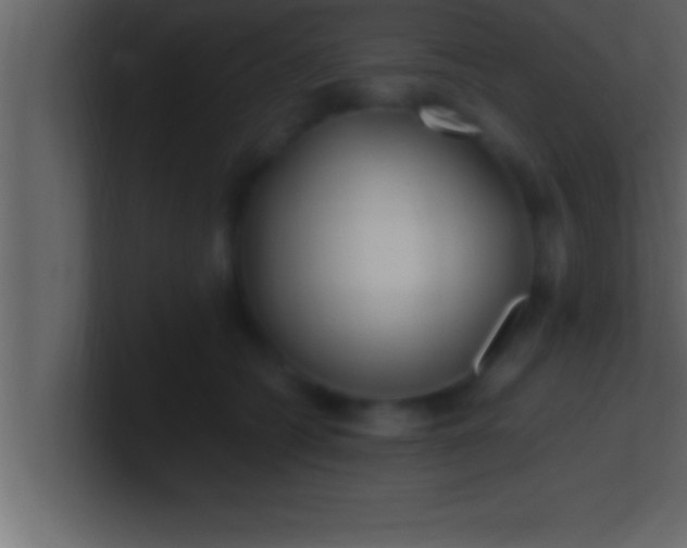 X0000100760562200807031152