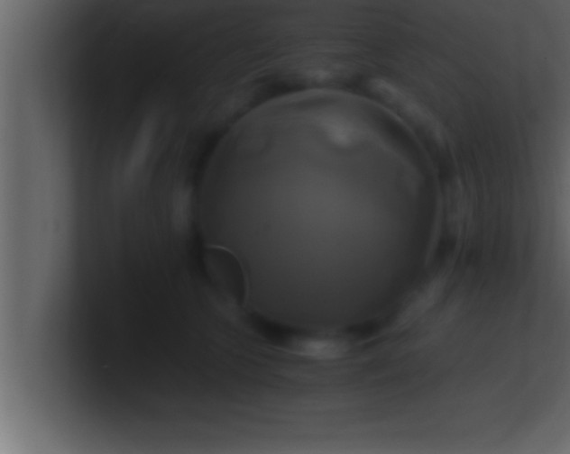 X0000100760563200807031152