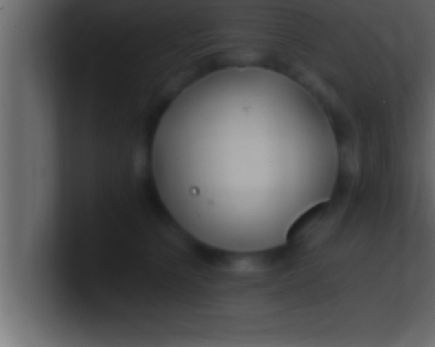 X0000100760564200807031152