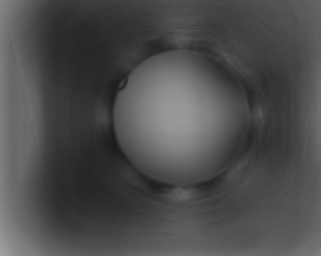 X0000100760566200807031152