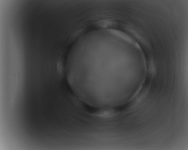 X0000100760569200807031152