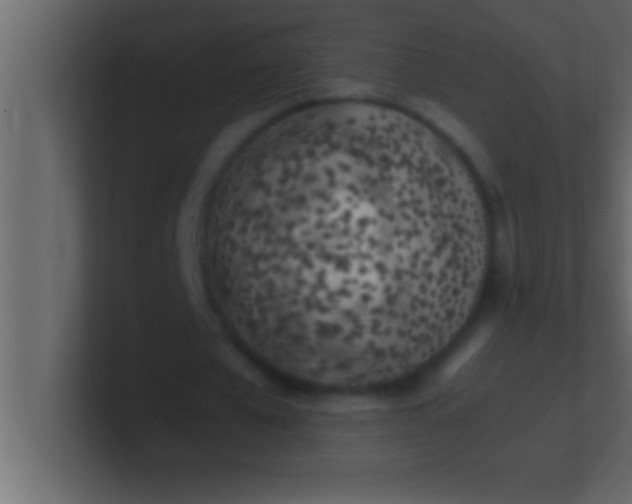 X0000100760577200807031151