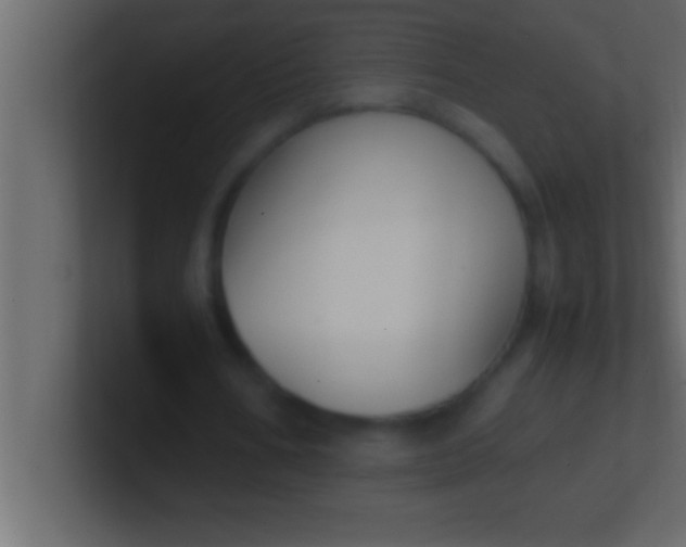 X0000100760578200807031151