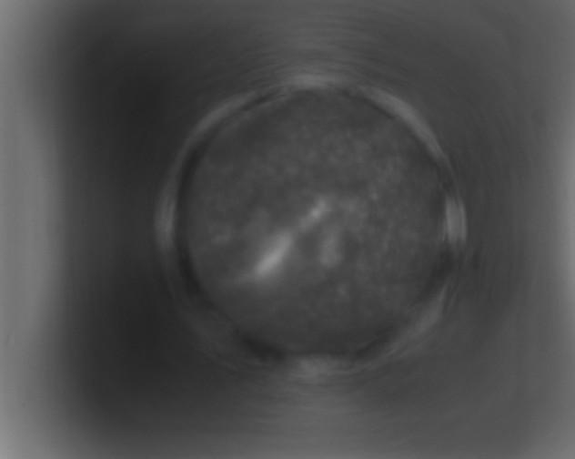 X0000100760579200807031151