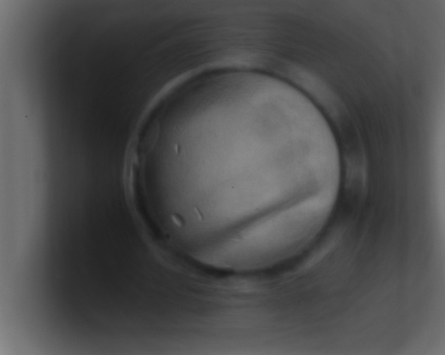 X0000100760580200807031151